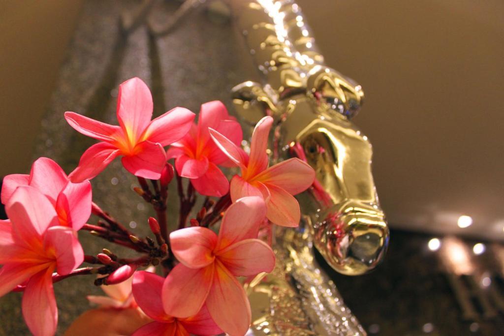 โรงแรมไทม์ บูทิก นิไล ห้อง รูปภาพ